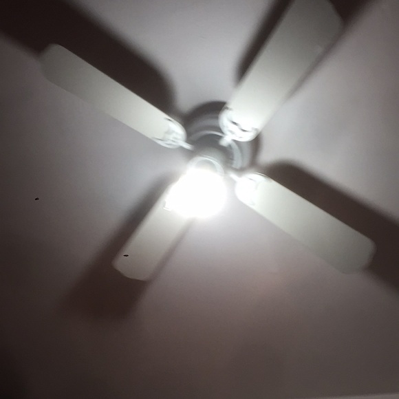 Meet your Posher, Wiliam - Picture 1 of 1